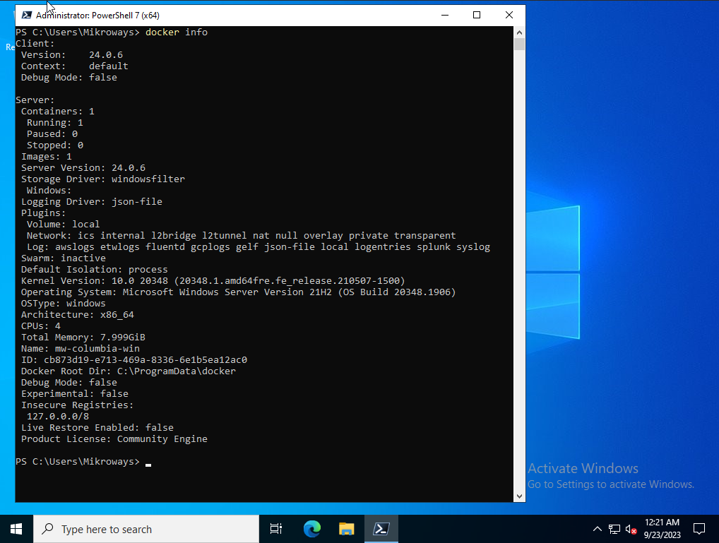 windows docker
info