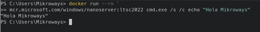 windows docker run
nanoserver